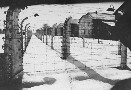 Kurtarıldığı esnada Auschwitz Kampı (Foto: Philip Vock, Holocaust Müzesi, USA)